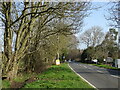 SU1511 : Ringwood Road (A338) towards Salisbury by JThomas