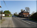 Salisbury Road (A338)