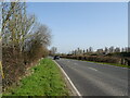 Salisbury Road (A338)