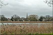TQ3287 : View over East Reservoir towards Stoke Newington church by Robin Webster