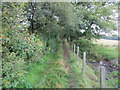 Footpath signed to Queenzieburn