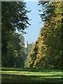 View along Lime Tree Avenue, Wollaton Park