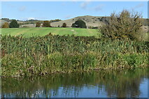SU1661 : Kennet and Avon Canal, with view over farmland to Giant's Grave by David Martin