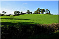 Corick Townland