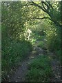 A route with public access at Waungaled, near Margam