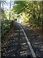 A shared use pathway near the Land Registry offices