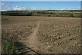 Footpath near Calverton