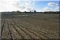 Stubble field near Calverton