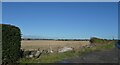 A field by Moor Lane, Coneythorpe