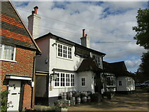 TQ0343 : Shamley Green - Red Lion Inn by Colin Smith