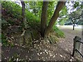 Horsforth, footpath north side of Broadway