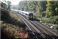 Railway south of Worplesdon