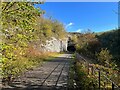 SK1273 : The Monsal Trail, Chee Dale by Adrian Taylor