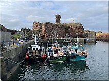 NT6779 : Fishing Boats moored beneath Dunbar Castle by Jennifer Petrie
