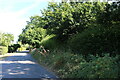 Slip Lane, Rabley Heath