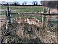 Stone Stile, South Cerney