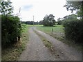 Driveway and field, Brindley