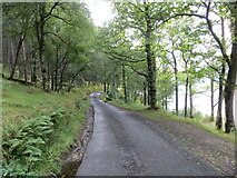 NN6423 : Minor road on the south shore of Loch Earn heading towards Drummond Duie by Peter Wood