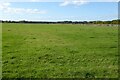 Field near Poulton Hill Farm