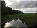 Waterlogged field near Mossknowe