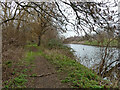 Path by River Lea or Lee