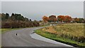 Autumn colours at Balnaguisich