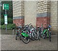 Cycle hire point at The Quay