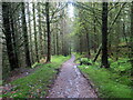 Llwybr ceffyl Allt Felin-fach / Allt Felin-fach bridleway