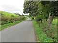 Tree and hedge-lined road near to Drummondernoch