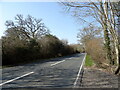 A35 towards Dorchester