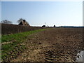 Field and hedgerow, Chapel Cross