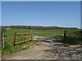 Field entrance off Ilsington Road