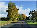 Congleton Road (service road) in autumn