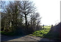 Field entrance off Ashington Lane