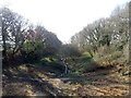 Path on disused railway