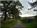 Churches Green Lane