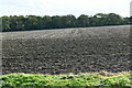 West Raynham: Ploughed field