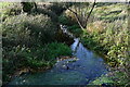 Helhoughton: The River Wensum