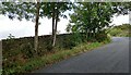 Pateley Bridge, Old Church Lane