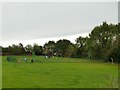 Playground off Ellesmere Road