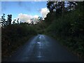 Minor road near Abergwydol