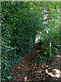 Footpath to Beckbury in Shropshire