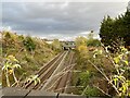 Railway approaching Barry