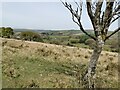 Exmoor : Moorland Scenery