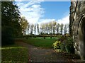 SS Katherine & Peter, Winterbourne Bassett: churchyard (d)