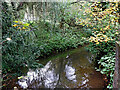 River Worfe at Higford in Shropshire