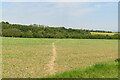 Footpath across field