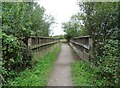 Footbridge on the Trans Pennine Trail / National Cycle Network Route 62