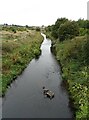 The River Dearne complete with abandoned shopping trolley