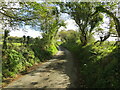 Earth banked and tree-lined minor road near Garden